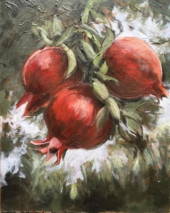 Pomegranates by Andries Smit